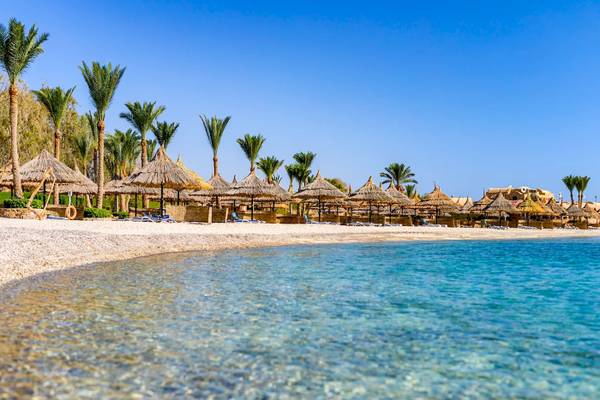 Strand des Mövenpick Resorts El Quseir mit Palmen und Sonnenschirmen