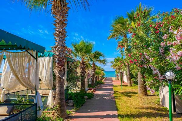 Strandweg im Club Wasa Holiday Dorf mit Palmen und Blumen