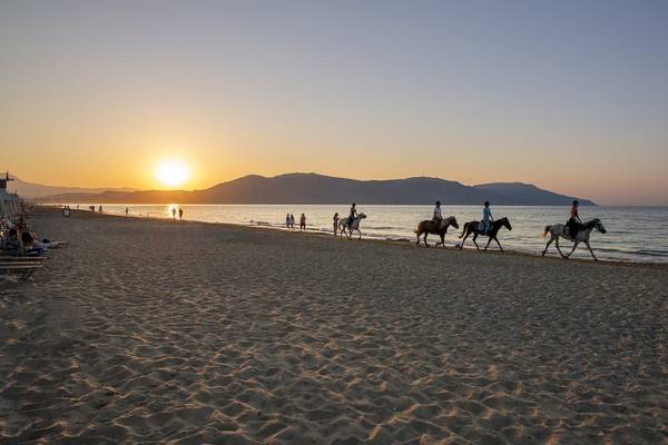 Foto von Menschen, die auf Pferden am Strand bei Sonnenuntergang reiten.