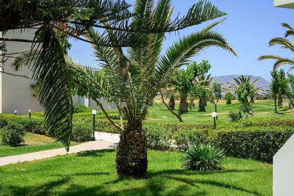 Gartenbereich des Vantaris Palace Hotels mit einer großen Palme und weißen Gebäuden im Hintergrund.