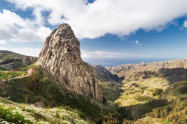 Aussicht auf einen Berg mit Blumen und einer Straße im Tal