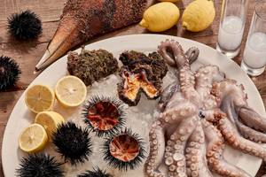 Essen auf Eis mit Oktopus, Seeigeln, Zitronenscheiben und weiteren Meeresfrüchten.
