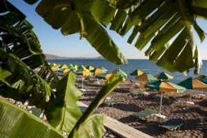 Strand des Irene Palace Beach Resorts mit vielen Sonnenschirmen und Liegen am Meer