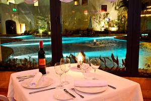 Reef Oasis Blue Bay Resort