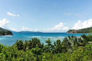 Aussicht auf das Meer vom Constance Ephelia Resort aus, mit blauem Himmel, Wellen und grünen Pflanzen.