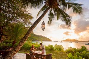 Mann serviert abendessen unter einer palme im constance ephelia resort