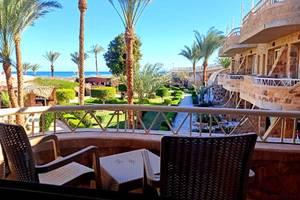 Terrasse des Utopia Beach Clubs mit Blick auf das Meer und Palmen