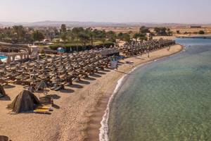 Luftaufnahme des Utopia Beach Club Strands mit vielen Sonnenschirmen und Hotelgebäuden
