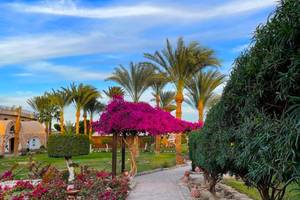 Gartenweg mit bunten Blumen und Palmen zum Utopia Beach Club Hotel.