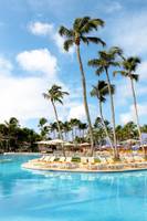 Ein Swimmingpool im Sunscape Dominicus La Romana Hotel mit vielen Palmen und Sonnenliegen.