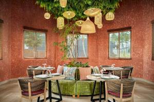 Innenansicht des Restaurants im Sunscape Dominicus La Romana Hotel mit grünem Sofa, Tisch, Pflanzen und hängenden Lampen.