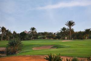 Golfplatz im Moevenpick Resort & Spa El Gouna mit gruenem Rasen und Palmen.