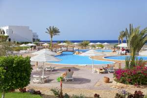 Außenpools mit Sonnenliegen und Sonnenschirmen im Three Corners Equinox Beach Resort