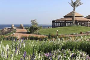 Garten mit Blumen und Gehweg zum Three Corners Equinox Beach Resort.