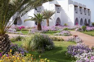 Garten vor dem Three Corners Equinox Beach Resort mit Blumen und Palmen.
