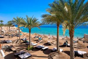 Strandbereich des Sunrise Royal Makadi Resorts mit Palmen, Sonnenliegen und Schirmen.