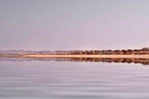 Strand des Gorgonia Beach Resorts mit vielen Sonnenschirmen am Horizont