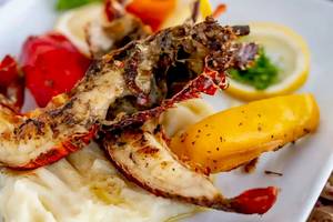 Gegrillter Hummer auf Kartoffelbrei mit Gewürzen und Gemüse serviert auf einem weißen Teller.
