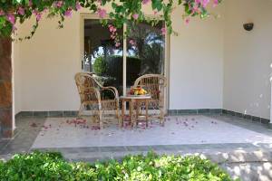 Eine Terrasse mit zwei Stühle und einem Tisch, umgeben von Blumenblättern und Pflanzen.
