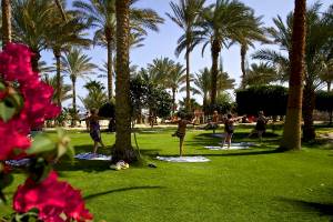 Yoga-Kurs im Freien mit mehreren Personen, die in einem grünen Park mit Palmen und roten Blumen trainieren.