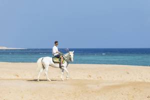 Ein Mann reitet auf einem weißen Pferd auf dem Strand des Three Corners Fayrouz Plaza Beach Resort.