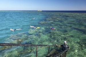 Snorkel-Taucher am Riff, Blick auf das Meer und das Boot