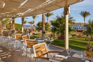 Außenterrasse des Steigenberger Coraya Beach Hotels mit Tischen und Stühlen, umgeben von Palmen und Meerblick.
