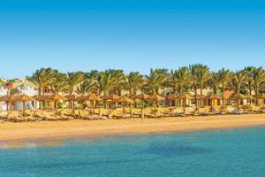 Strand des Sunrise Royal Makadi Resort mit Sonnenliegen und Palmen