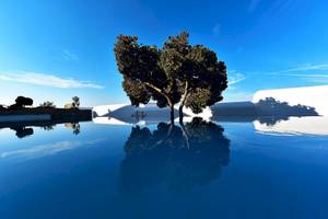 Außenpool des Mykonos Grand Hotel mit reflektiertem Baum
