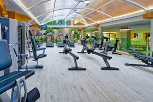 Fitness-Center im Bull Dorado Beach & Spa Hotel mit verschiedenen Geräten und Pflanzen.