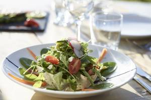 Ein frisches Salatgericht auf einem weißen Teller im Garten serviert.