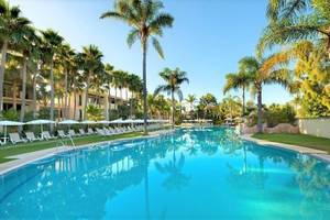 Außenpool des Bluebay Banus Hotels mit Liegestühlen und Palmen