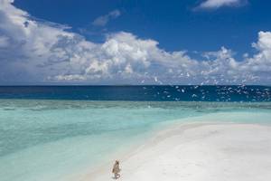 Tropischer Strand mit kristallklarem Wasser, weißen Vögeln und einer Person am Ufer, Royal Island Resort & Spa