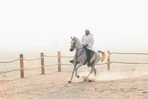 Qasr Al Sarab Desert Resort by Anantara in Abu Dhabi