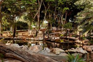 Garten des Grecian Bay Hotels mit Brücke über einem Teich