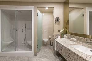 Badezimmer im Royal Seginus Hotel mit Glasdusche, Toilette und Waschbecken.