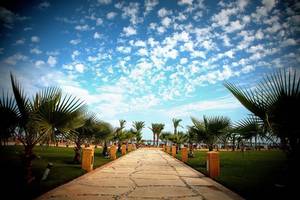 Magic Tulip Resort in Marsa Alam, Garten Blick