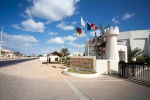 Green Palm in Tunesien - Insel Djerba