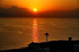 Sonnenuntergang am Kristall Springs Beach mit ruhigem Meer und einer Palme am Strand.