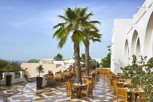 The Cove Rotana Resort in Ras al Khaimah, Palme