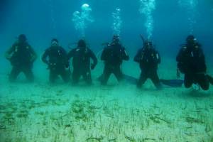 Eine Gruppe von Tauchern unter Wasser in der Nähe des Arion Hotels auf Samos.