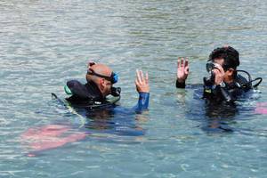 Zwei Taucher im Wasser, einer signalisiert OK und der andere zeigt den Taucherhandzeichen.