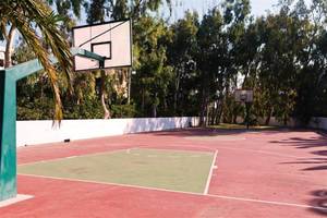 Basketballplatz im Freien mit zwei Körben, umzäunt von einer weißen Mauer und umgeben von Bäumen.