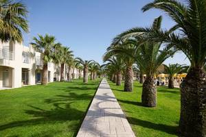 Palmen-Allee im Atlantica Holiday Village Kos, grüner Rasen und weiße Gebäude im Hintergrund.