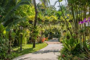 Chaba Samui Resort in Thailand: Insel Koh Samui