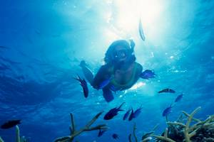 Eine Frau taucht im blauen Meer, umgeben von bunten Fischen und Korallenriffen.