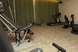 Fitnessstudio im Minos Mare Hotel mit Trainingsgeräten und grünem Bodendesign.