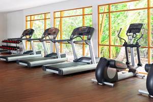 Fitnessstudio mit mehreren Laufbändern und Außensicht auf Bäume und Pflanzen.