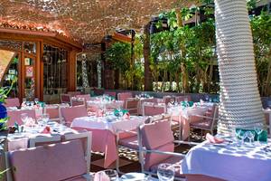 Die Terrasse des Parque Tropical Hotels mit pinken Tischen und Stühlen, umgeben von Pflanzen.