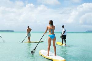 Vier Personen stehen auf Stand-Up-Paddle-Boards im ruhigen Wasser.